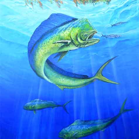 Mahi_Mahi_Painting