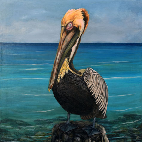 Pelican_Painting_art