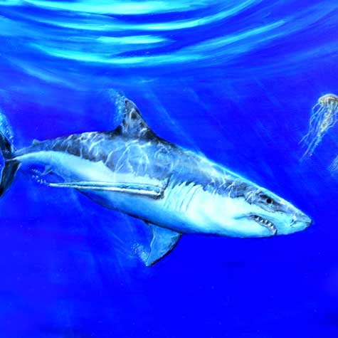 Great_White_Shark_Painting